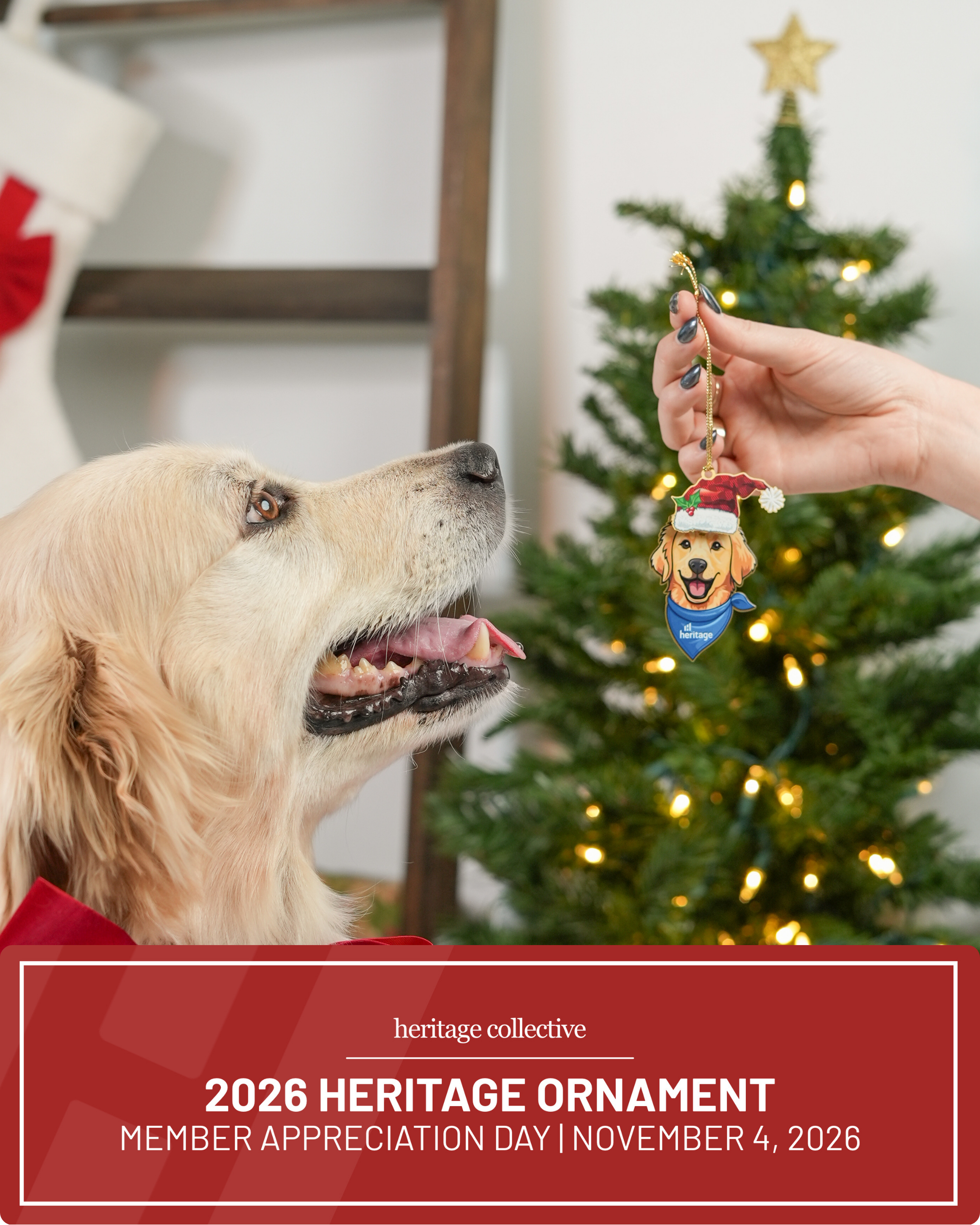 Lady looks at the 2026 Heritage Ornament